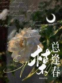雪意昭昭笔趣阁