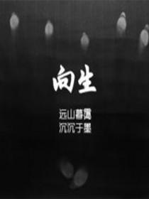 四合院开局怒怼三大爷