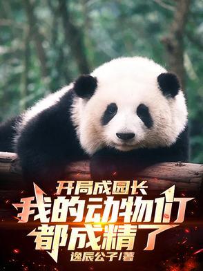 永恒剑主
