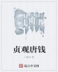 愿逐明月入君怀
