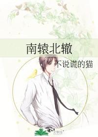 异界游戏制作人蝶之灵